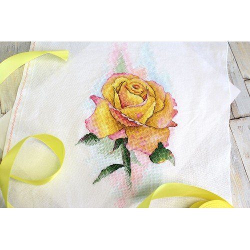 MP Studia - Yellow rose