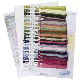 MP Studia - Bouquet of lovely roses