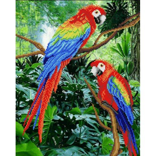 MP Studia - Jungle dwellers