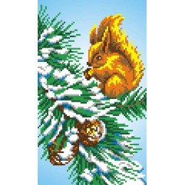MP Studia - Squirrel