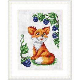 MP Studia - Fox