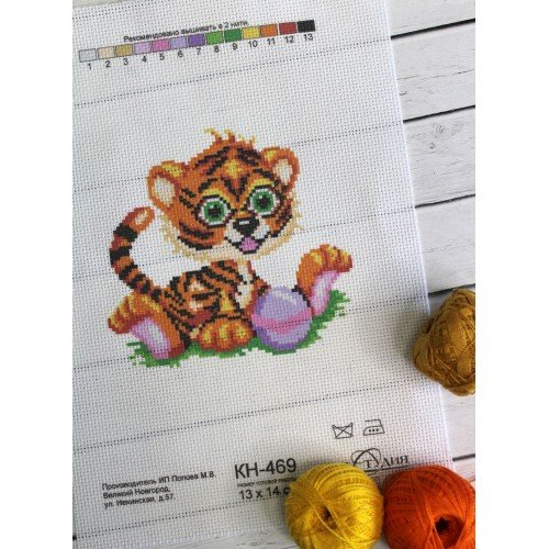MP Studia - Tiger cub