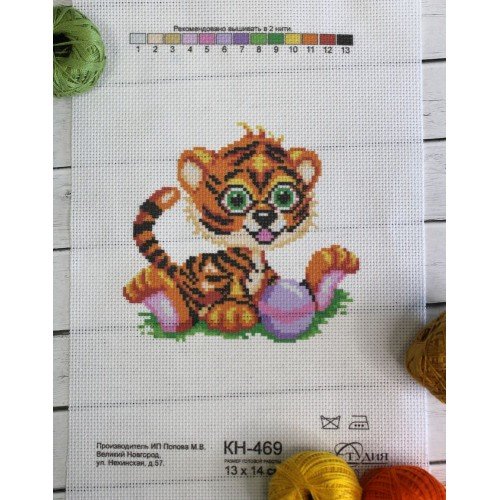 MP Studia - Tiger cub