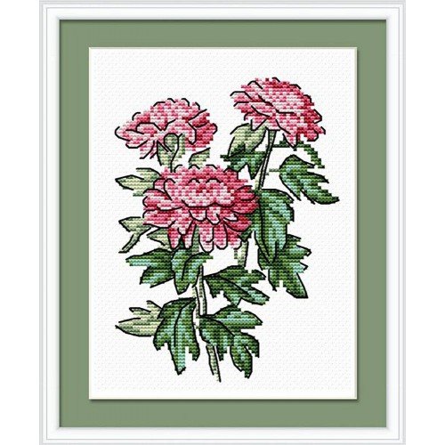 MP Studia - Summer trio