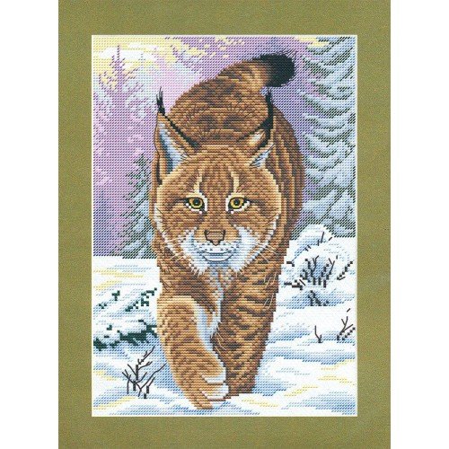 MP Studia - Predator