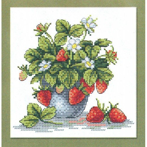 MP Studia - Tasty strawberry