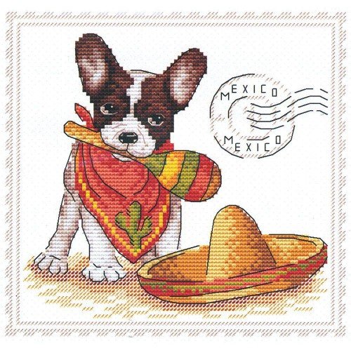 MP Studia - My best friend. Mexico