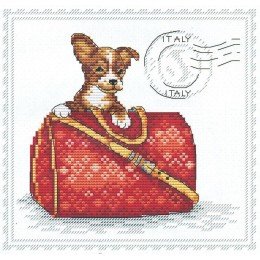 MP Studia - My best friend. Italy