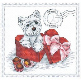 MP Studia - My best friend. France