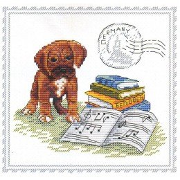 MP Studia - My best friend. Germany