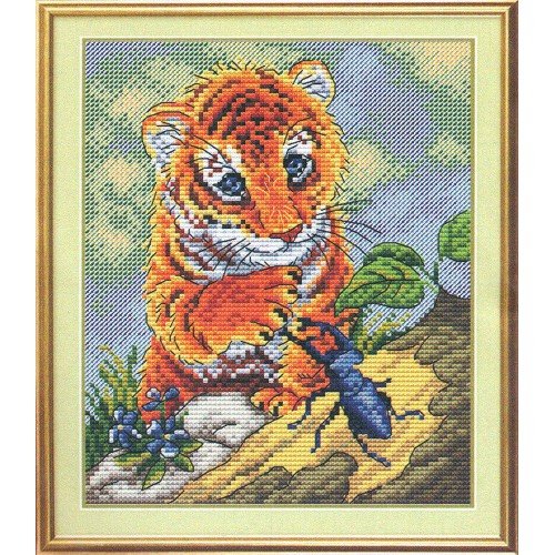 MP Studia - Lets be friends