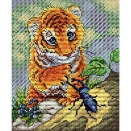 MP Studia - Lets be friends