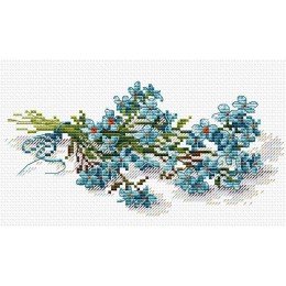 MP Studia - Flower beauty