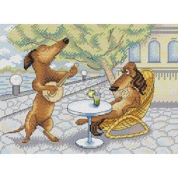 MP Studia - South serenade