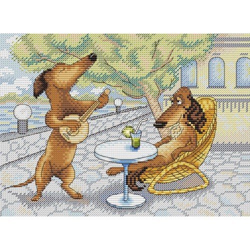 MP Studia - South serenade