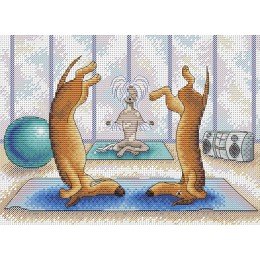 MP Studia - Good balance