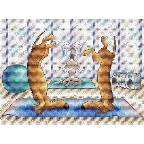 MP Studia - Good balance