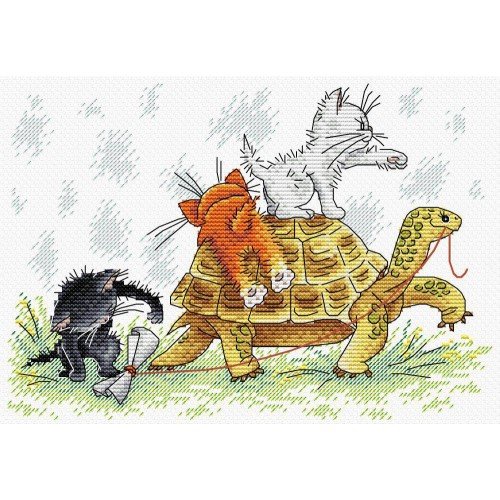 MP Studia - Moving forward