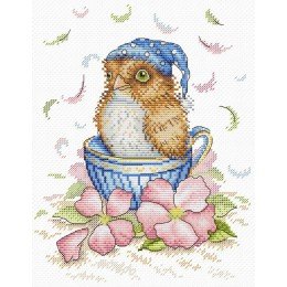 MP Studia - Good morning