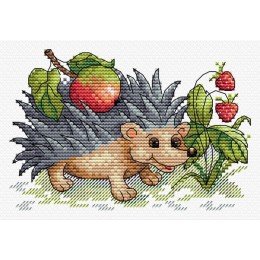 MP Studia - Sweet find