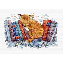 MP Studia - In the silent place