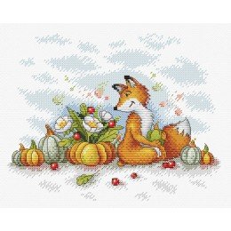 MP Studia - Moments of joy