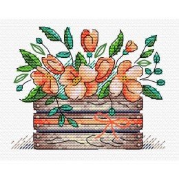 MP Studia - Scarlet freshness