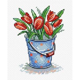 MP Studia - Tulip freshness