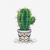 MP Studia - Fresh cactus