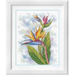 MP Studia - Freshness charm