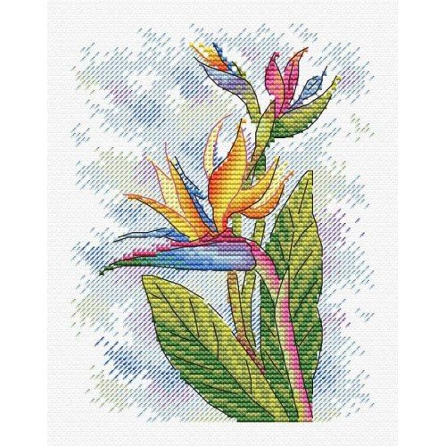 MP Studia - Freshness charm