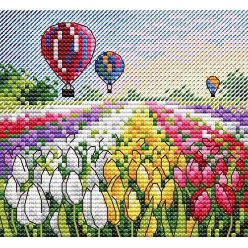 MP Studia - Evening in holland