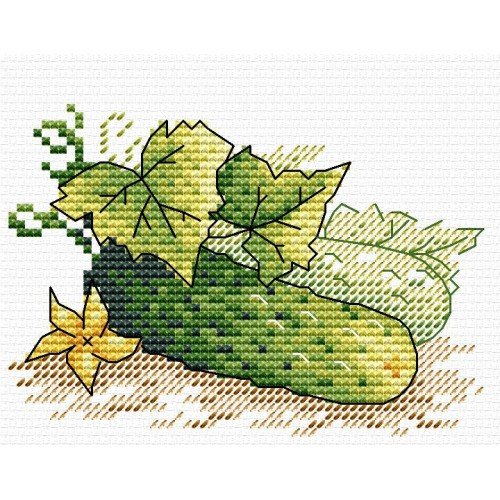 MP Studia - Fresh from the garden