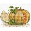 MP Studia - Pumpkin