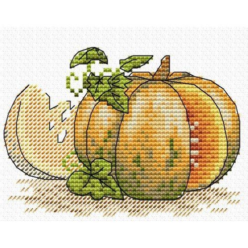 MP Studia - Pumpkin