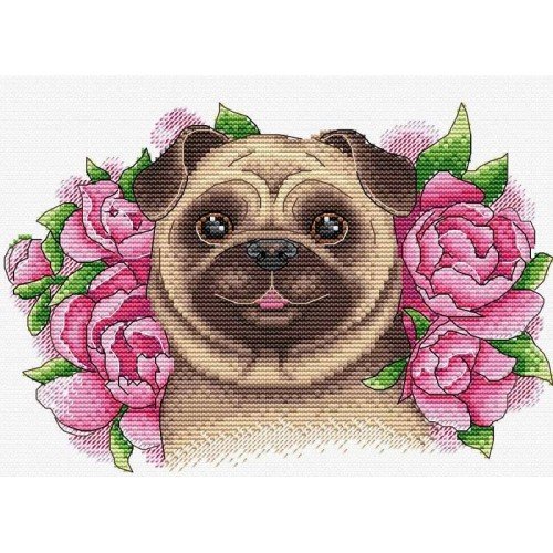 MP Studia - Charmed friend