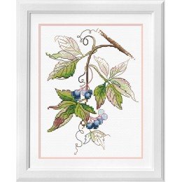 MP Studia - The birth of autumn