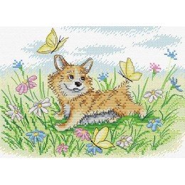 MP Studia - On a sunny lawn