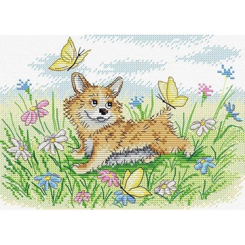 MP Studia - On a sunny lawn