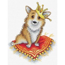 MP Studia - Royal corgi