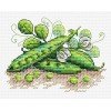 MP Studia - Green peas