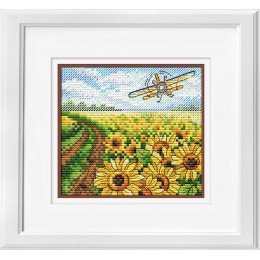 MP Studia - Sea of sunflowers