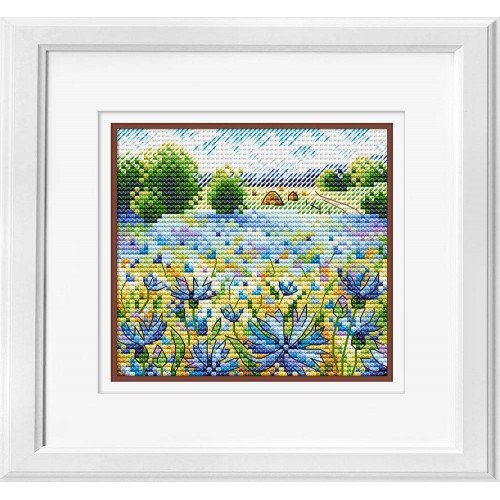 MP Studia - Cornflower field