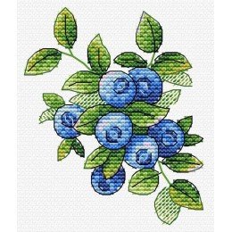 MP Studia - Forest blueberry