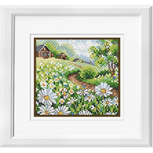 MP Studia - Summer expanses