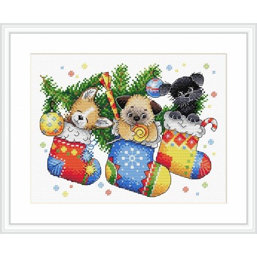 MP Studia - New year's surprise