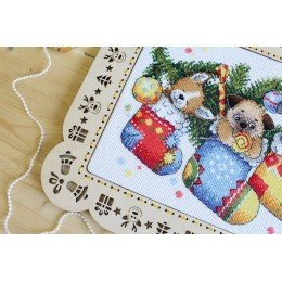 MP Studia - New year's surprise