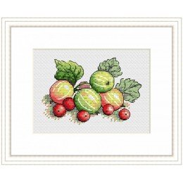 MP Studia - Scented gooseberry