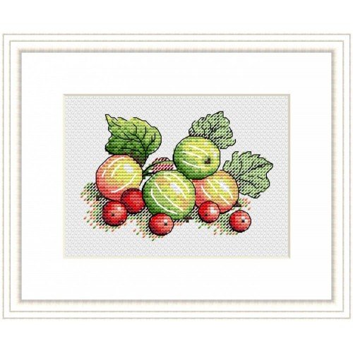 MP Studia - Scented gooseberry