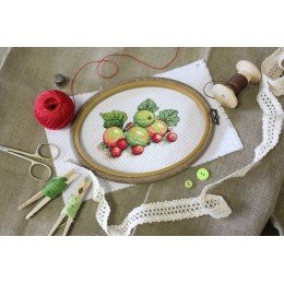 MP Studia - Scented gooseberry